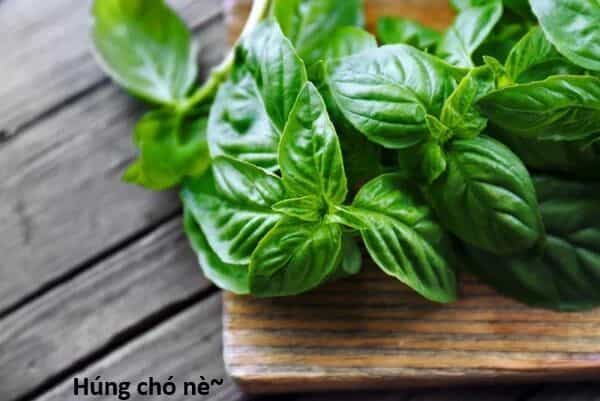 Hổ Đến Chơi Nhà - Chương 138 - ảnh 104