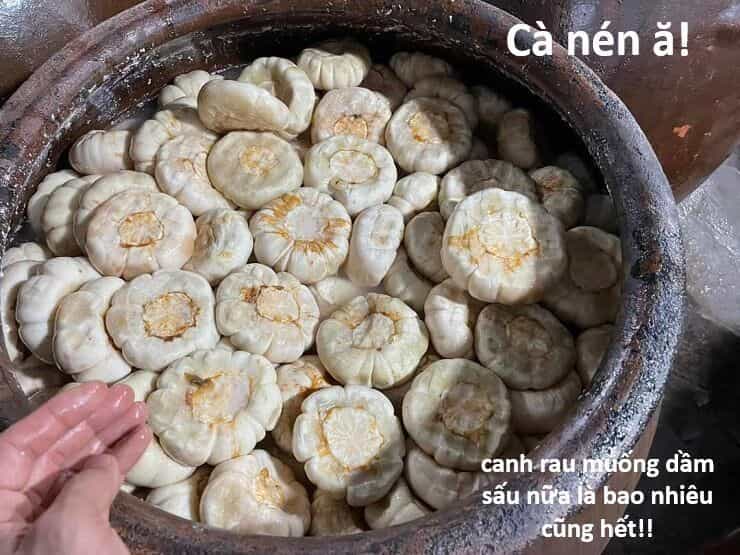 Hổ Đến Chơi Nhà - Chương 145 - ảnh 41