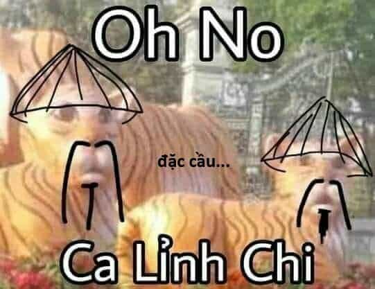 Hổ Đến Chơi Nhà - Chương 147 - ảnh 62