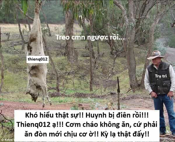 Hổ Đến Chơi Nhà - Chương 148 - ảnh 40
