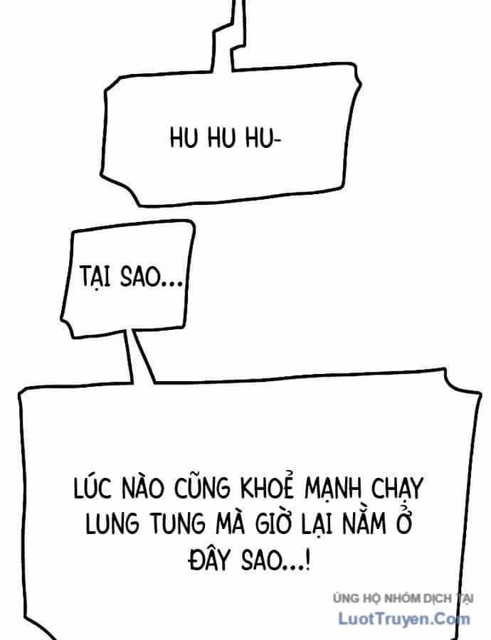 Hổ Giấy - Chương 1 - ảnh 135