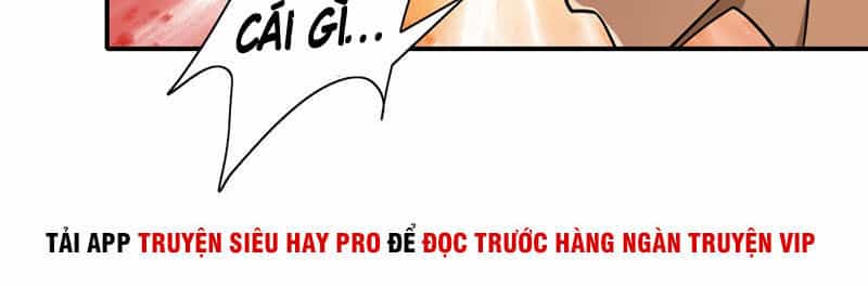 Hộ Hoa Cao Thủ Tại Đô Thị - Chương 128 - ảnh 23