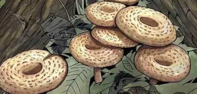 Hồ Sơ Ác Nhân - Chương 33 - ảnh 43