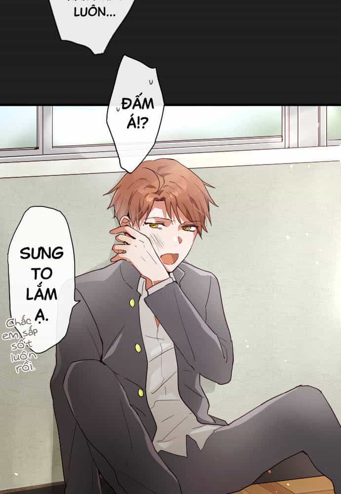 Hoa Cánh Sao - Chương 104 - ảnh 7