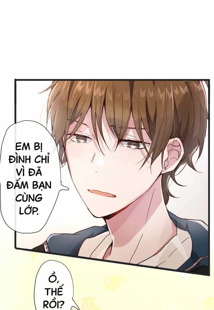 Hoa Cánh Sao - Chương 105 - ảnh 41