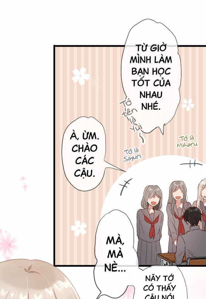 Hoa Cánh Sao - Chương 106 - ảnh 12