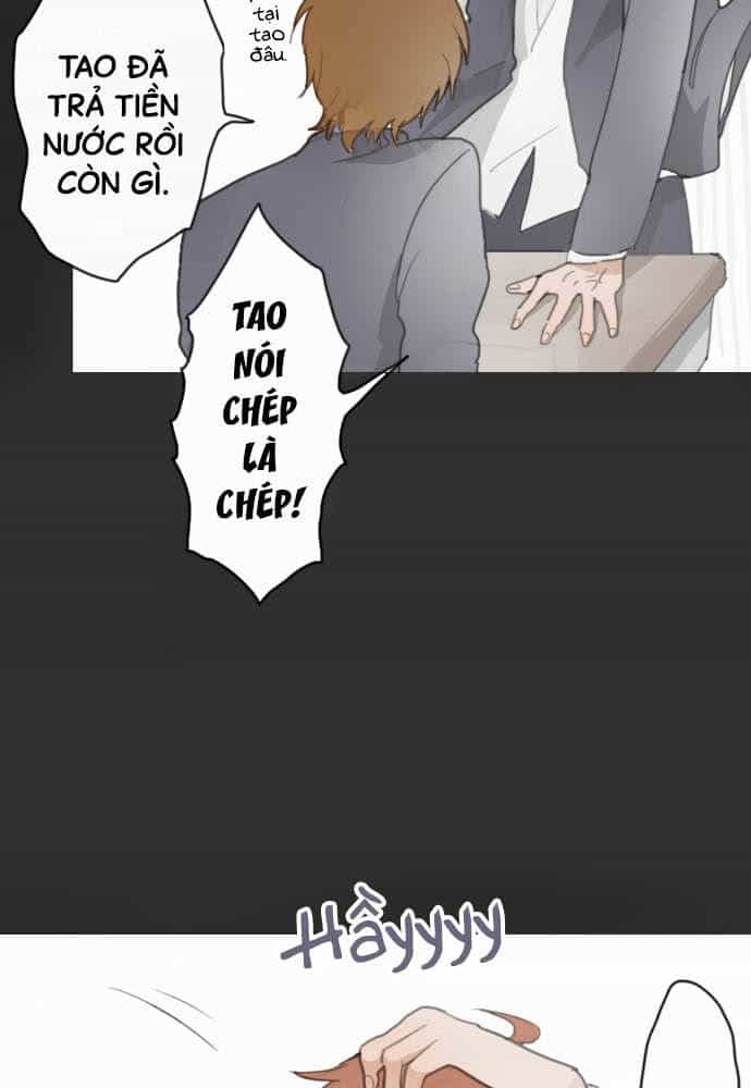 Hoa Cánh Sao - Chương 11 - ảnh 24