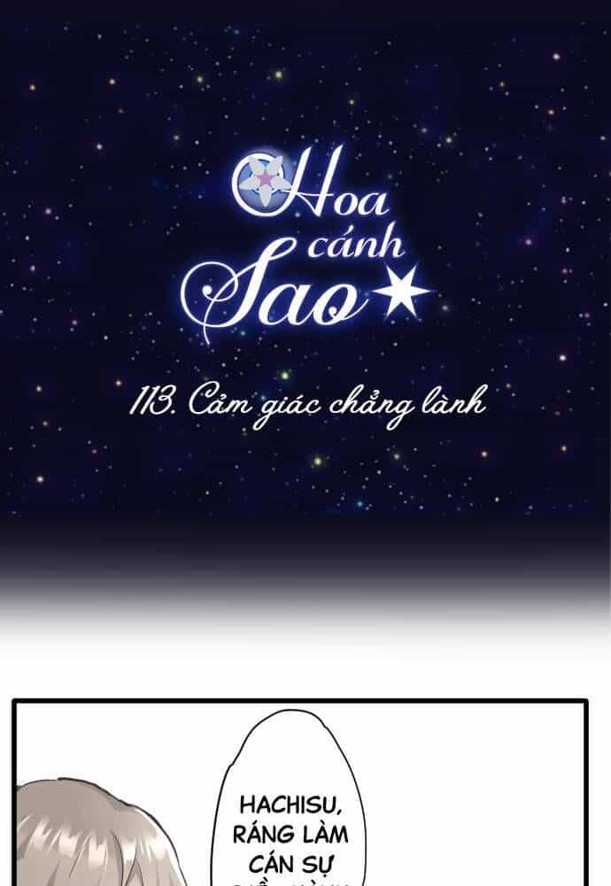 Hoa Cánh Sao - Chương 114 - ảnh 17