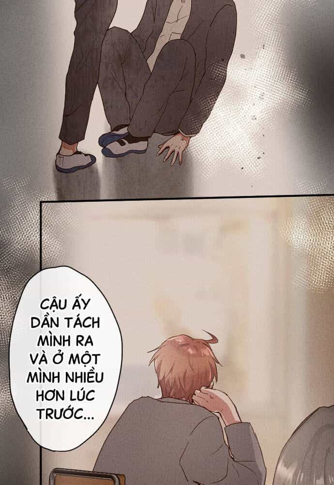 Hoa Cánh Sao - Chương 116 - ảnh 32