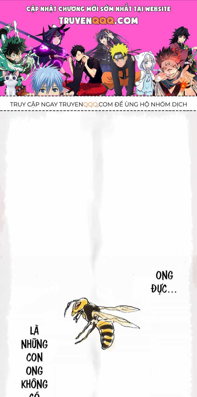 Hoa Cánh Sao - Chương 12 - ảnh 1
