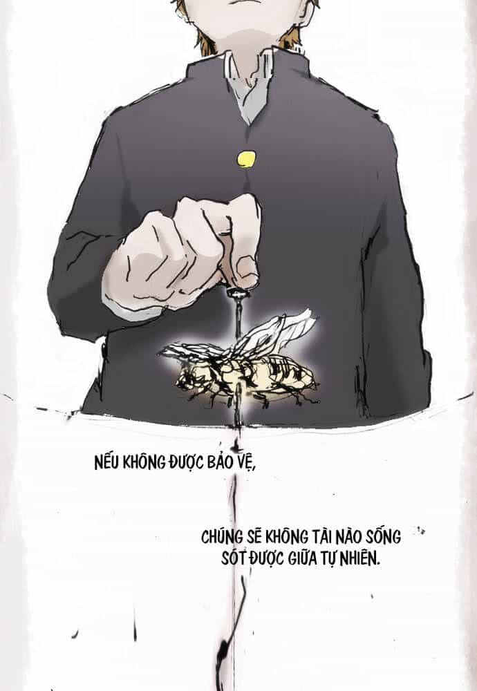 Hoa Cánh Sao - Chương 12 - ảnh 6