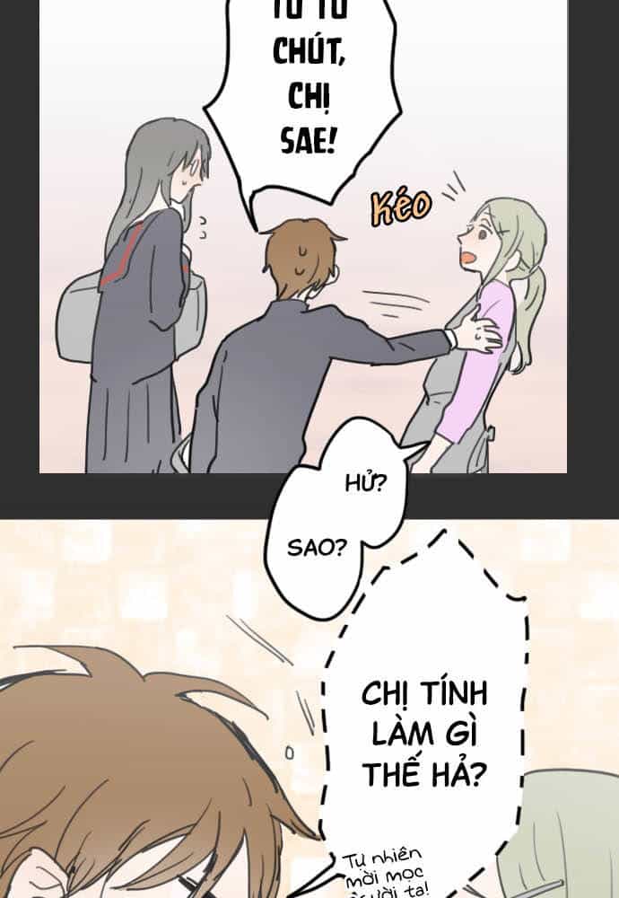 Hoa Cánh Sao - Chương 19 - ảnh 17