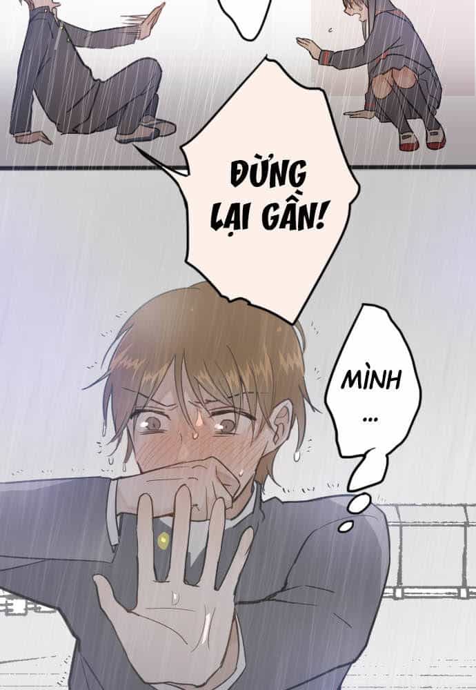 Hoa Cánh Sao - Chương 28 - ảnh 36