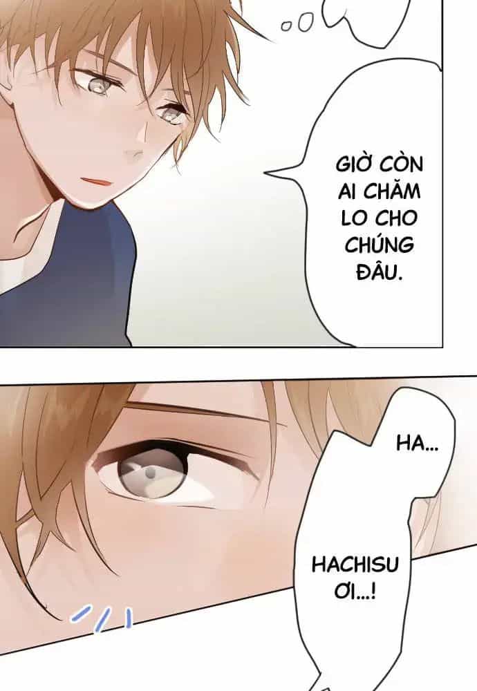 Hoa Cánh Sao - Chương 38 - ảnh 53