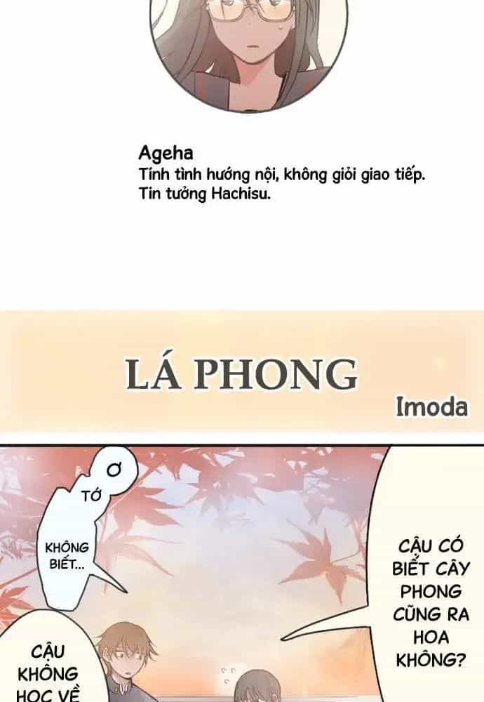 Hoa Cánh Sao - Chương 38.5 - ảnh 2