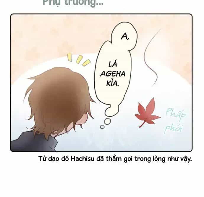 Hoa Cánh Sao - Chương 38.5 - ảnh 6