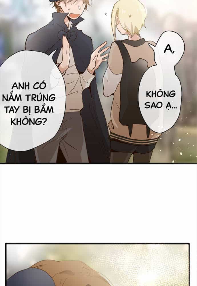 Hoa Cánh Sao - Chương 66 - ảnh 7