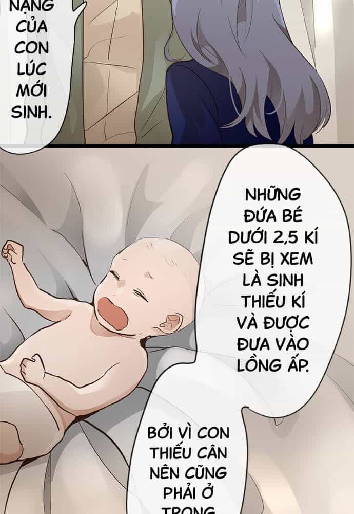Hoa Cánh Sao - Chương 73 - ảnh 29