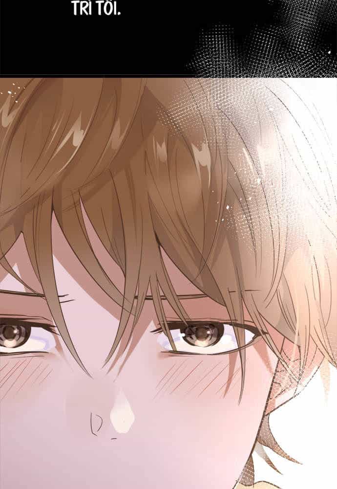 Hoa Cánh Sao - Chương 77 - ảnh 63