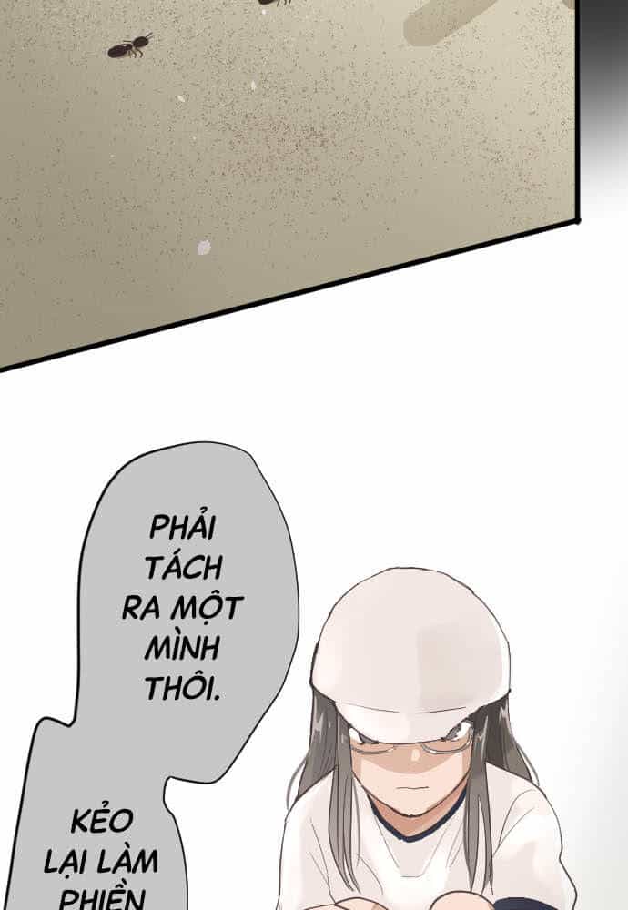 Hoa Cánh Sao - Chương 90 - ảnh 57
