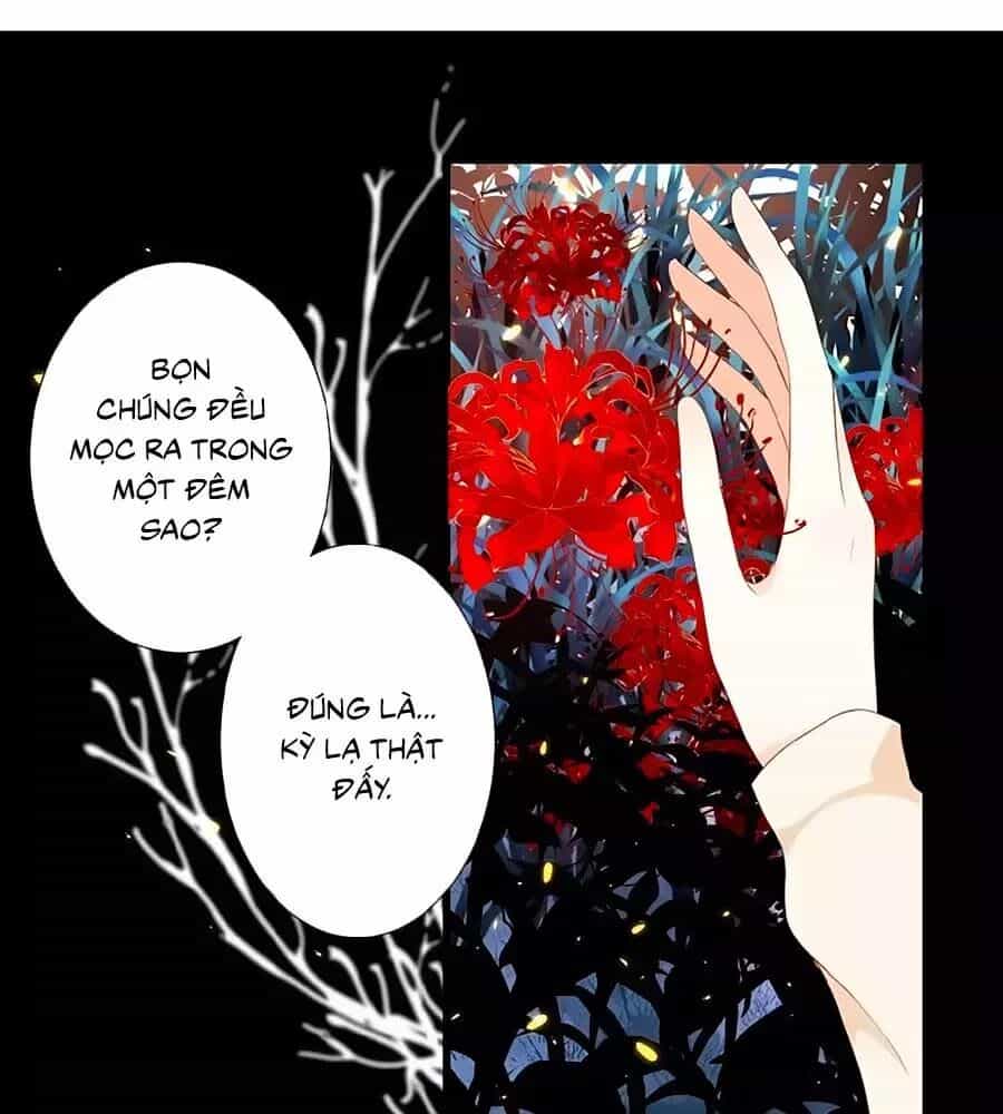 Hoa Chưa Nở Rộ - Chương 21 - ảnh 8