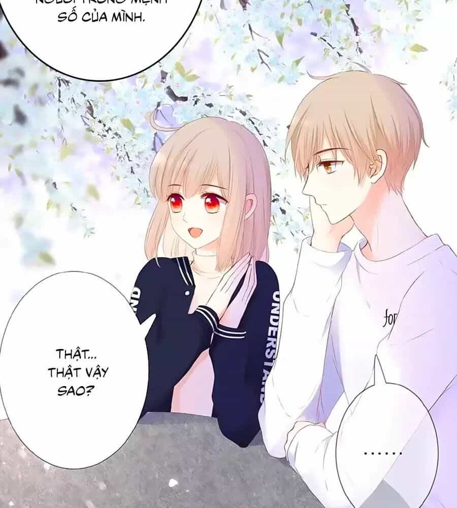 Hoa Chưa Nở Rộ - Chương 22 - ảnh 17