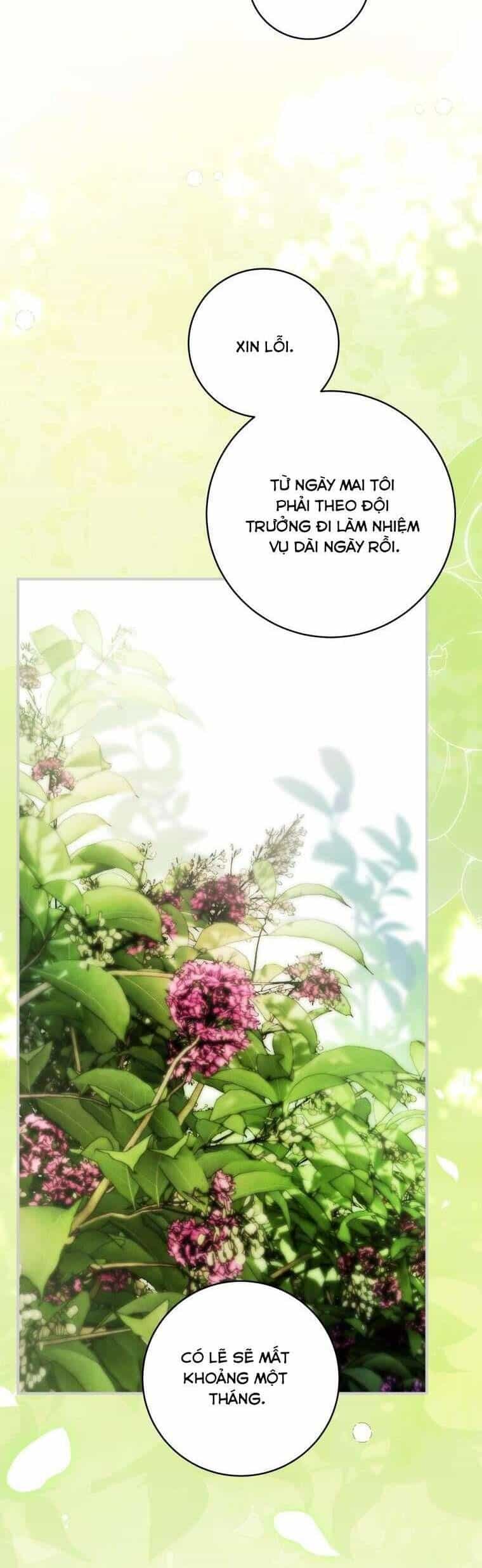 Hoa Giương Kiếm - Chương 39 - ảnh 11
