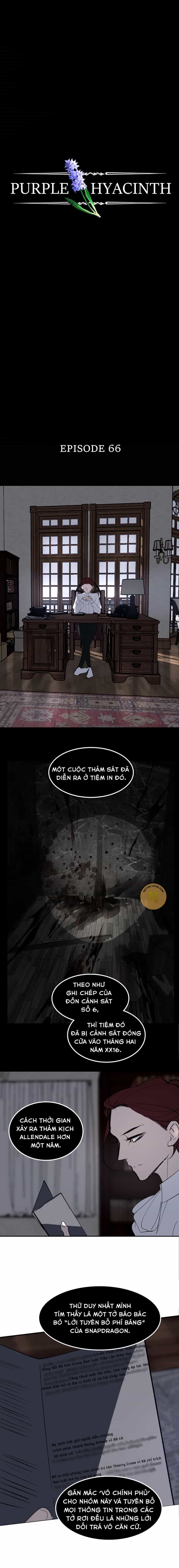 Hoa Lục Bình Tím - Chương 66 - ảnh 4