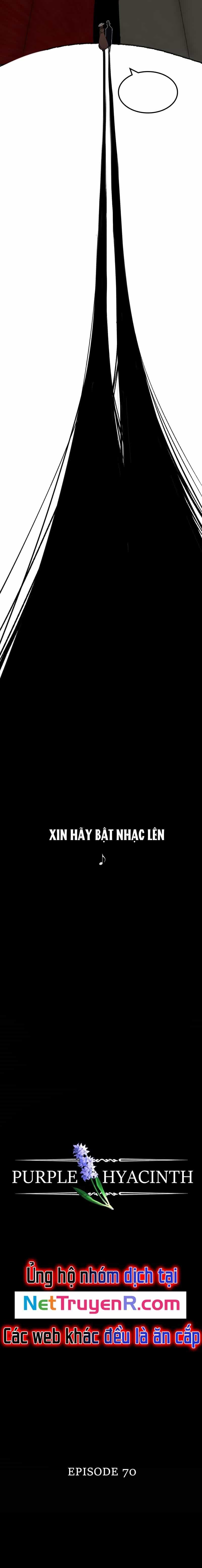 Hoa Lục Bình Tím - Chương 70.1 - ảnh 6