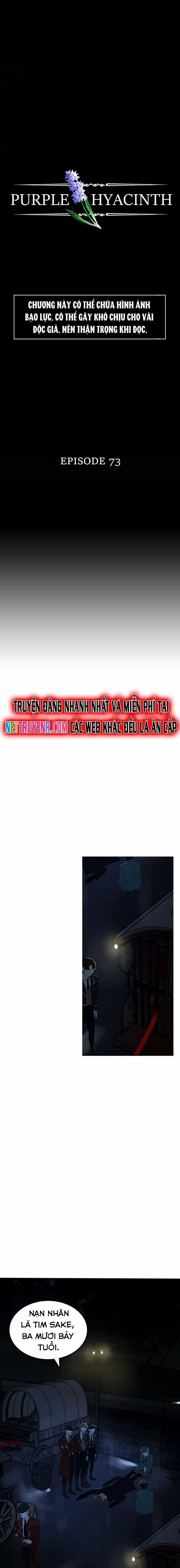 Hoa Lục Bình Tím - Chương 73 - ảnh 3