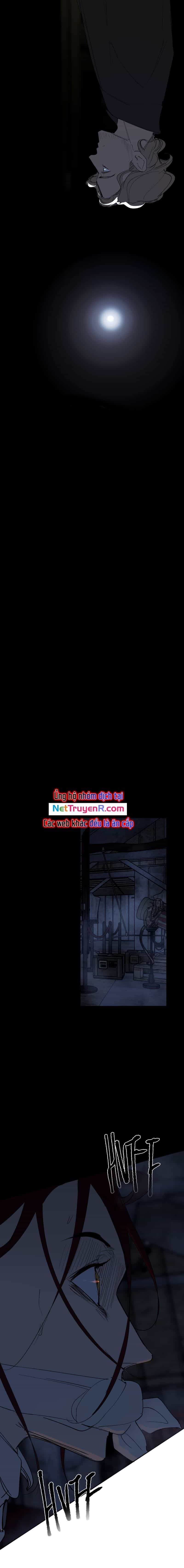 Hoa Lục Bình Tím - Chương 74.1 - ảnh 4