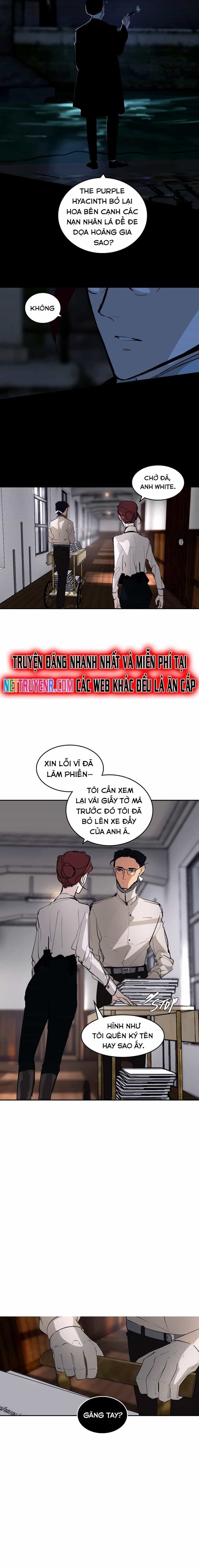Hoa Lục Bình Tím - Chương 92.1 - ảnh 3