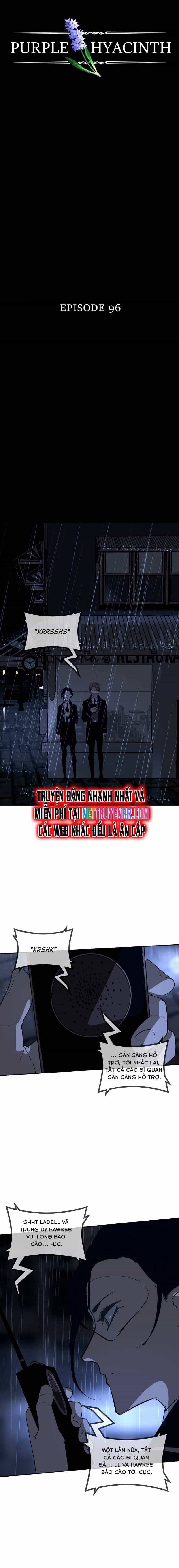 Hoa Lục Bình Tím - Chương 96 - ảnh 6
