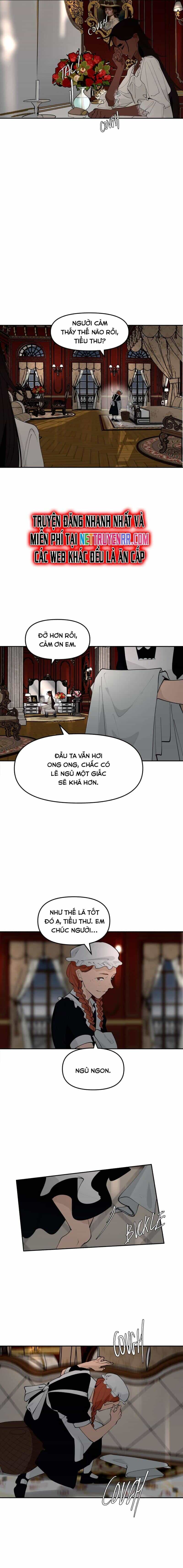Hoa Lục Bình Tím - Chương 134.2 - ảnh 5