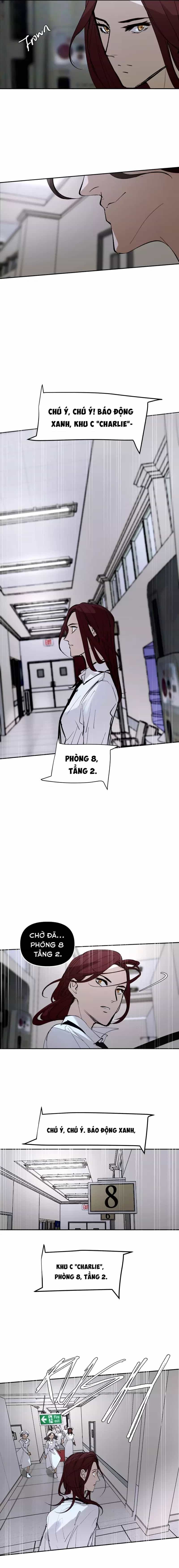 Hoa Lục Bình Tím - Chương 145.4 - ảnh 5