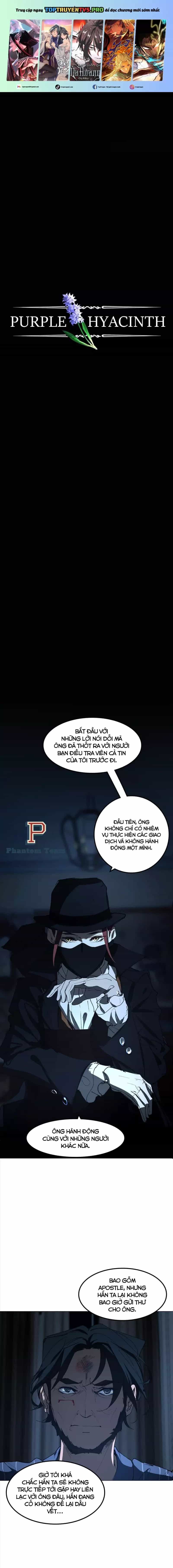 Hoa Lục Bình Tím - Chương 16 - ảnh 2