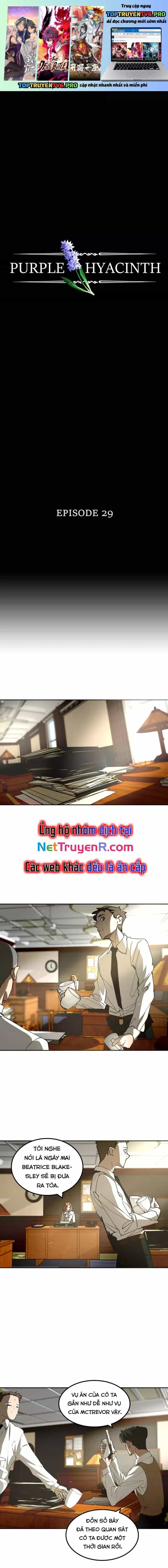 Hoa Lục Bình Tím - Chương 29 - ảnh 2