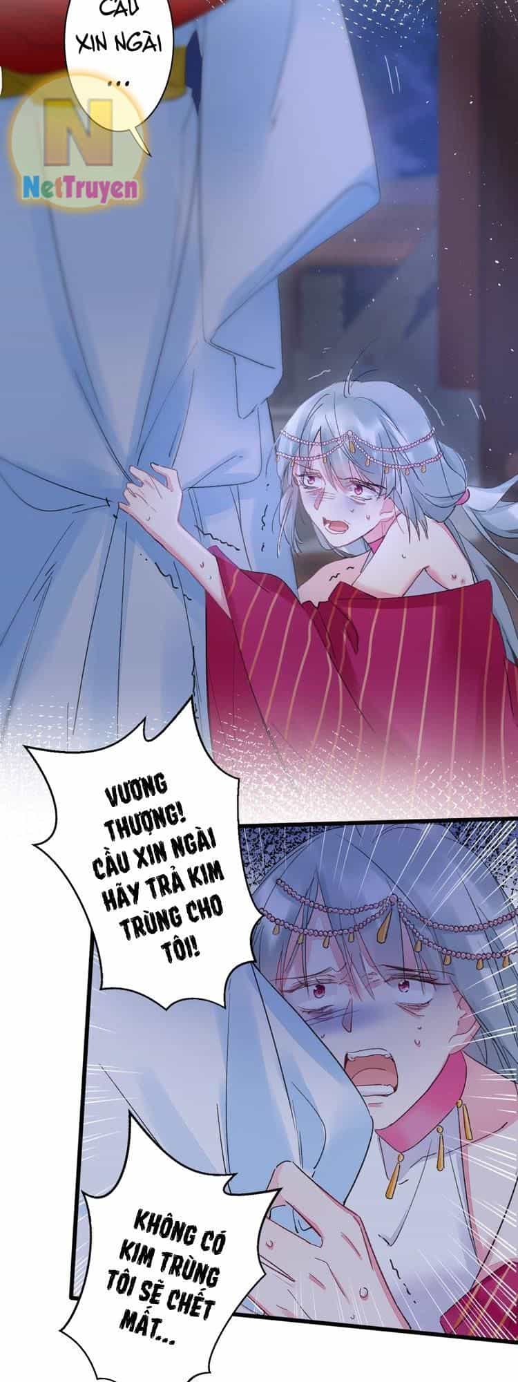 Hoa Nhan Sách 2 - Chương 76 - ảnh 11