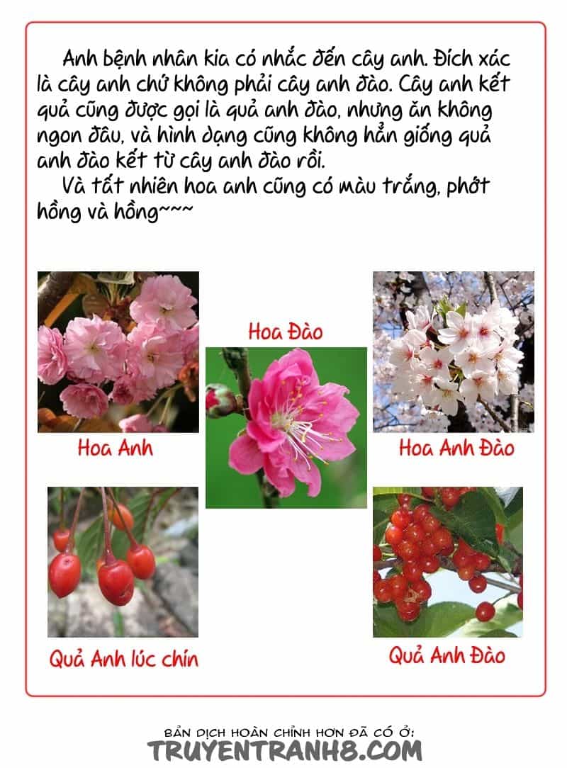 Hoa Quý - Chương 15 - ảnh 11