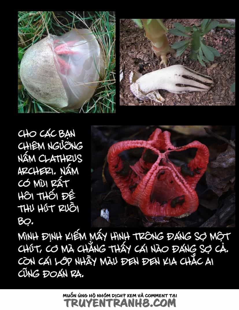 Hoa Quý - Chương 42 - ảnh 12