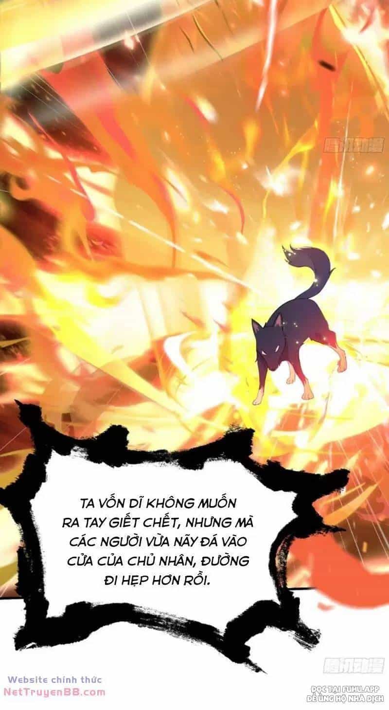 Hoá Ra Ta Đã Vô Địch Từ Lâu - Chương 12 - ảnh 67
