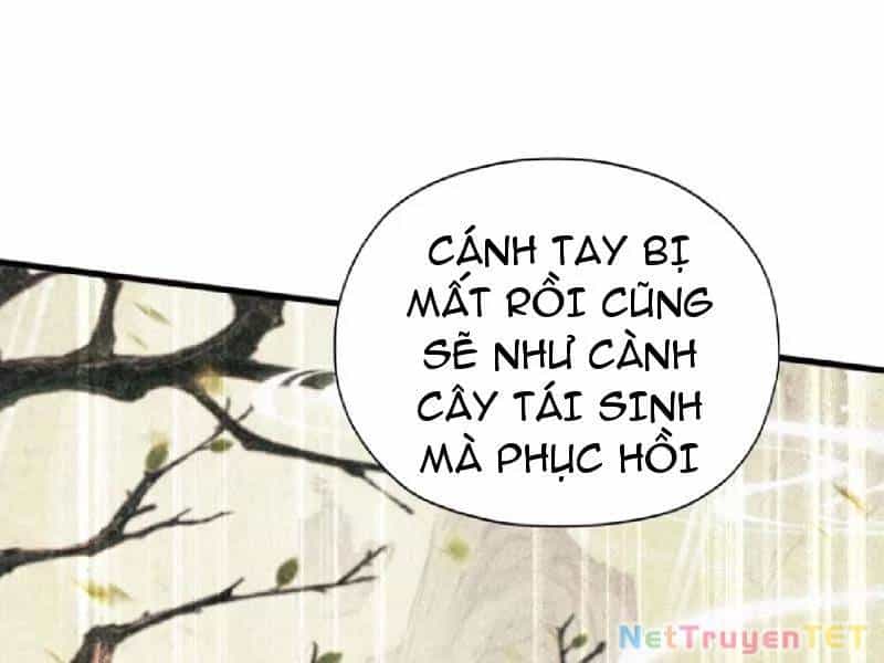 Hoá Ra Ta Đã Vô Địch Từ Lâu - Chương 251 - ảnh 66