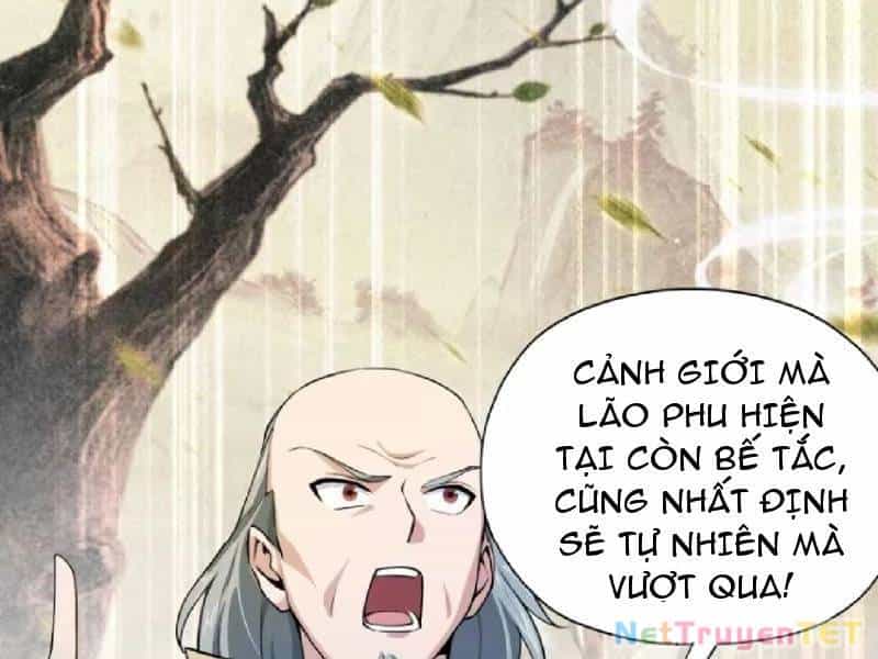Hoá Ra Ta Đã Vô Địch Từ Lâu - Chương 251 - ảnh 67