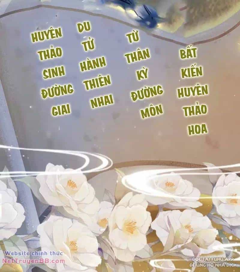 Hoá Ra Ta Đã Vô Địch Từ Lâu - Chương 28 - ảnh 61