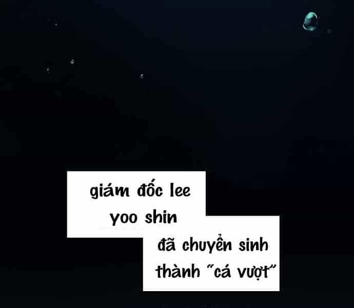 Hoá Thân Thành Cá - Chương 1 - ảnh 211