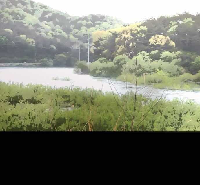 Hoá Thân Thành Cá - Chương 16 - ảnh 128