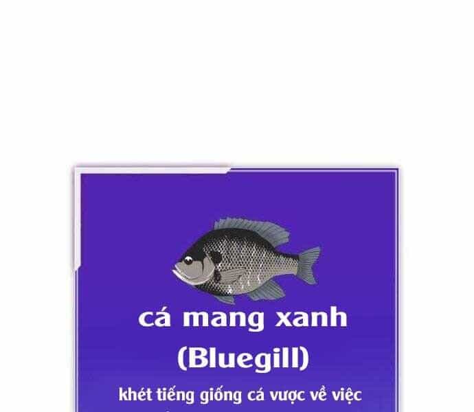 Hoá Thân Thành Cá - Chương 2 - ảnh 178