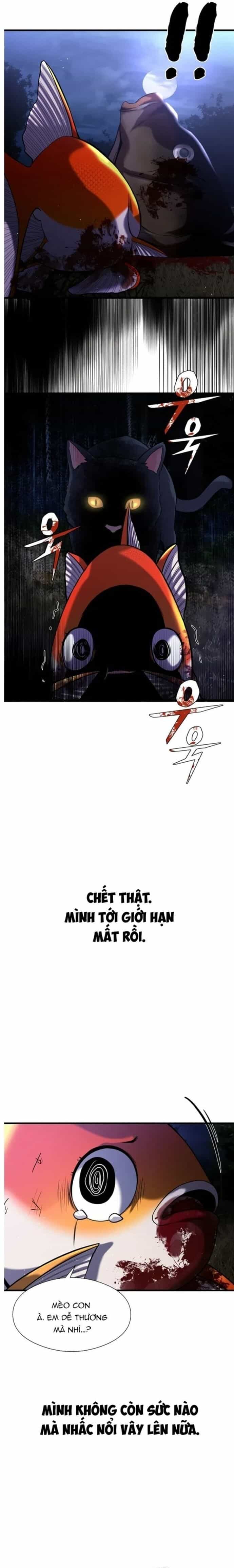 Hoá Thân Thành Cá - Chương 26 - ảnh 20