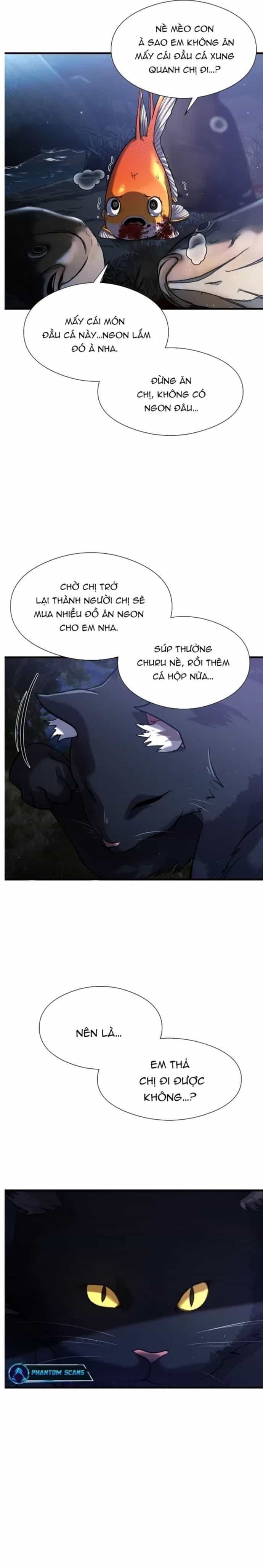 Hoá Thân Thành Cá - Chương 26 - ảnh 21