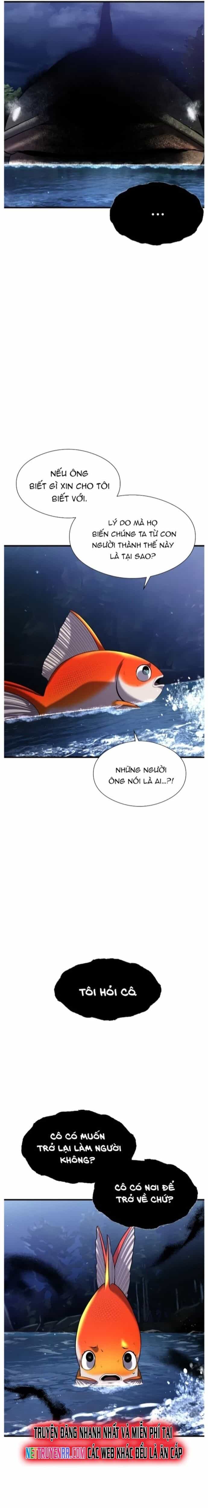 Hoá Thân Thành Cá - Chương 28 - ảnh 10